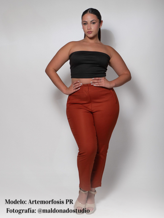 Zara Style High waist Pant rush bronze